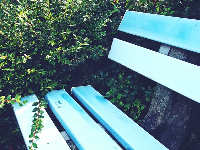 带来的战术 带来的战术