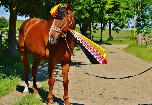 不仅承载着 不仅承载着