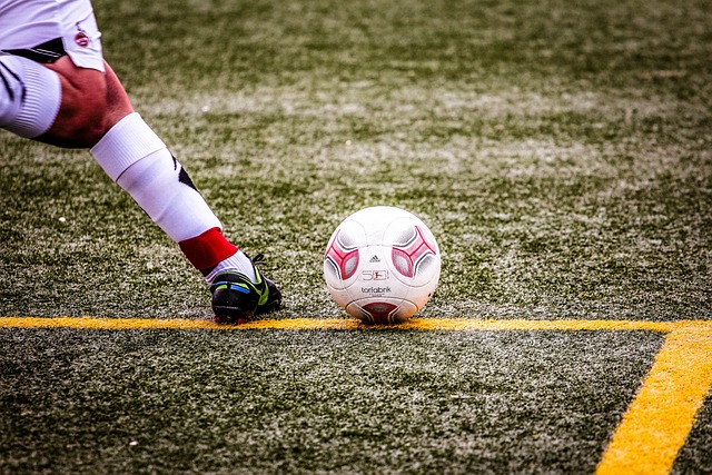 一个球迷去 一个球迷去