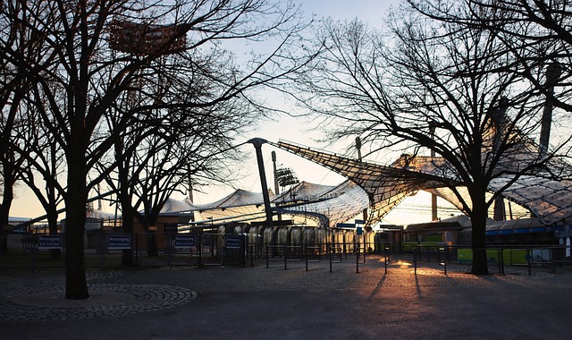 杯小组赛 杯小组赛