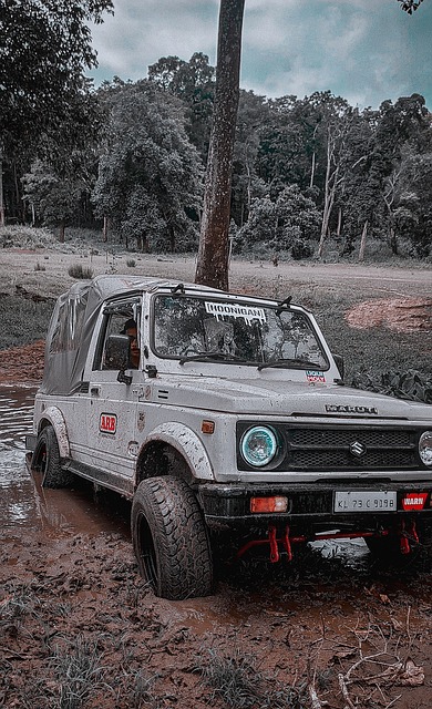 腊的左后卫 腊的左后卫