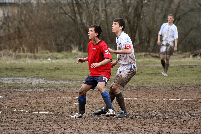 中国女排新 中国女排新