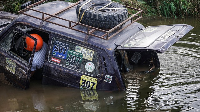 未来展望 未来展望