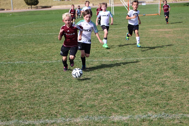 获得了大量 获得了大量