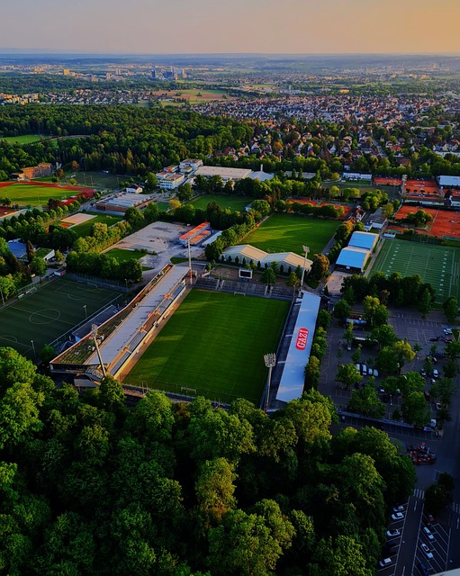 心理或环境 心理或环境